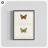 1-49_Moths-and-Butterflies-of-the-United-States_blk-crop