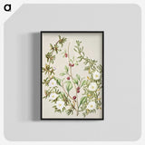 1-49_Native-Flowering-Plants-of-New-Zealand_blk-crop