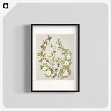 1-49_Native-Flowering-Plants-of-New-Zealand_blk