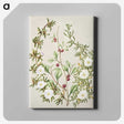 1-49_Native-Flowering-Plants-of-New-Zealand_canvas