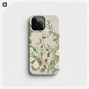 1-49_Native-Flowering-Plants-of-New-Zealand_phone