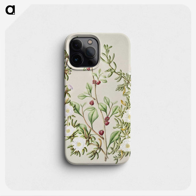 1-49_Native-Flowering-Plants-of-New-Zealand_phone