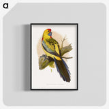 1-49_Parrots-in-Captivity_blk-crop