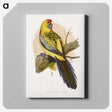 1-49_Parrots-in-Captivity_canvas