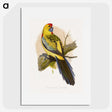 1-49_Parrots-in-Captivity_picture