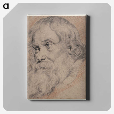 1-49_Peter-Paul-Rubens_canvas