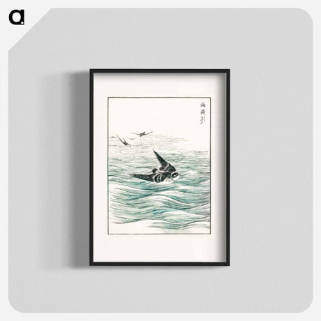 アートポスター-Riu Kiu House Swallow Illustration
 - 鳥類図鑑 Poster.