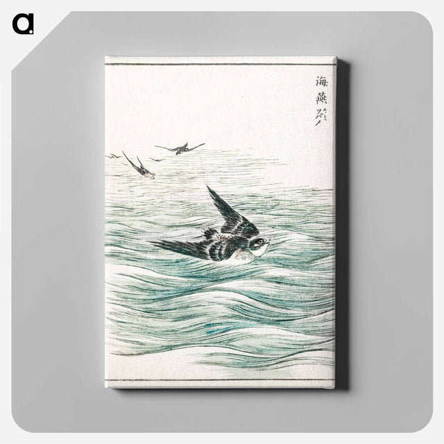 アートパネル-Riu Kiu House Swallow Illustration
 - 鳥類図鑑 Canvas.