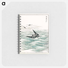 アートメモ帳-Riu Kiu House Swallow Illustration
 - 鳥類図鑑 Memo.