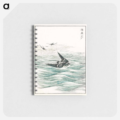 アートメモ帳-Riu Kiu House Swallow Illustration
 - 鳥類図鑑 Memo.