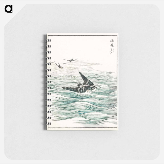アートメモ帳-Riu Kiu House Swallow Illustration
 - 鳥類図鑑 Memo.