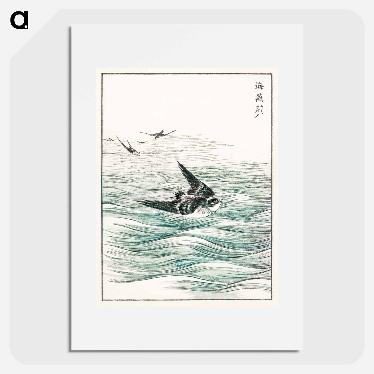 アートポスター-Riu Kiu House Swallow Illustration
 - 鳥類図鑑 Poster.