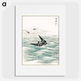 アートポスター-Riu Kiu House Swallow Illustration
 - 鳥類図鑑 Poster.