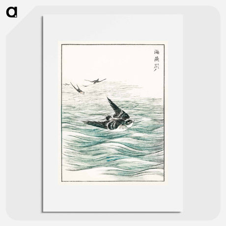 アートポスター-Riu Kiu House Swallow Illustration
 - 鳥類図鑑 Poster.
