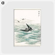 アートポストカード-Riu Kiu House Swallow Illustration
 - 鳥類図鑑 Postcard.