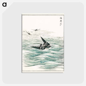 アートポストカード-Riu Kiu House Swallow Illustration
 - 鳥類図鑑 Postcard.