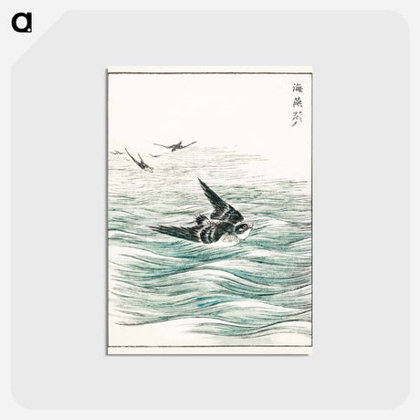 アートポストカード-Riu Kiu House Swallow Illustration
 - 鳥類図鑑 Postcard.