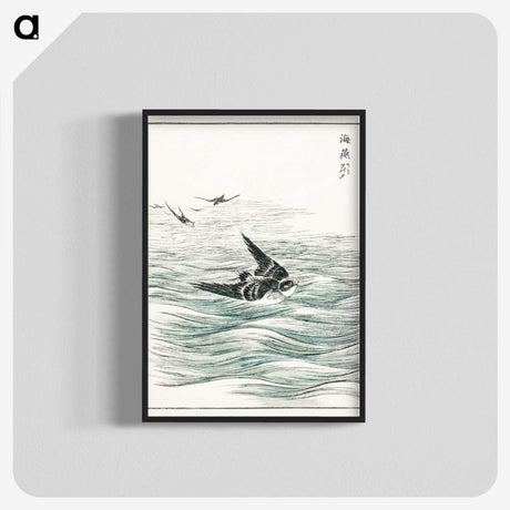 1-49_Pictorial-Monograph-of-Birds_blk-crop