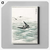 1-49_Pictorial-Monograph-of-Birds_canvas