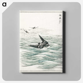 1-49_Pictorial-Monograph-of-Birds_canvas