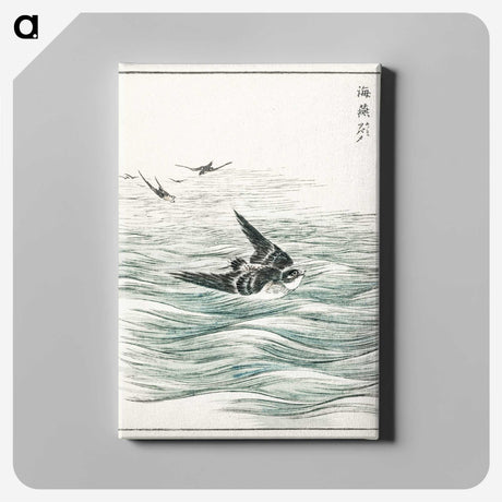 1-49_Pictorial-Monograph-of-Birds_canvas