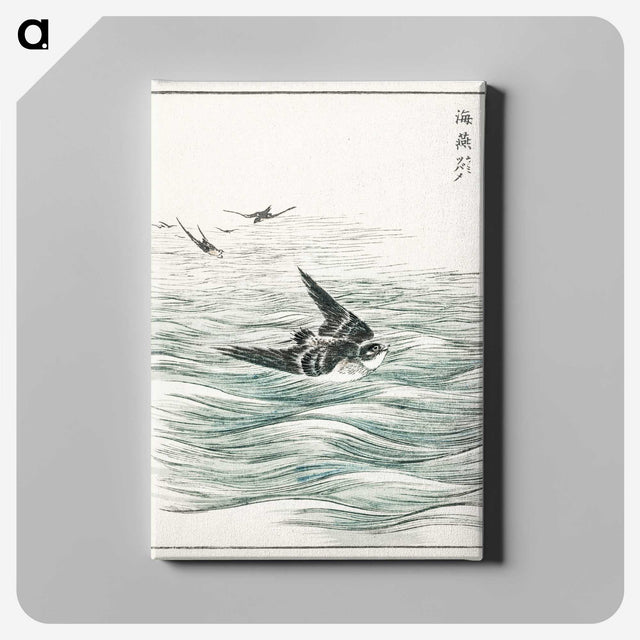 1-49_Pictorial-Monograph-of-Birds_canvas