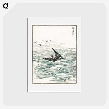 1-49_Pictorial-Monograph-of-Birds_hagaki
