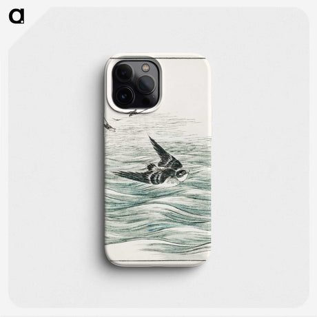1-49_Pictorial-Monograph-of-Birds_phone