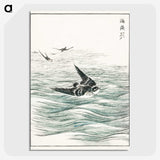 1-49_Pictorial-Monograph-of-Birds_picture-crop