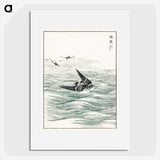 1-49_Pictorial-Monograph-of-Birds_picture