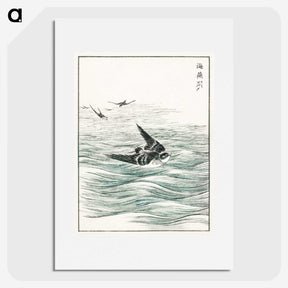 1-49_Pictorial-Monograph-of-Birds_picture