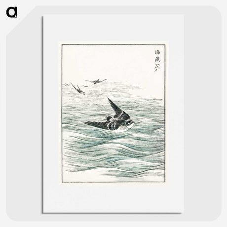 1-49_Pictorial-Monograph-of-Birds_picture