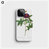 1-49_Pierre-Joseph-Redoute_phone