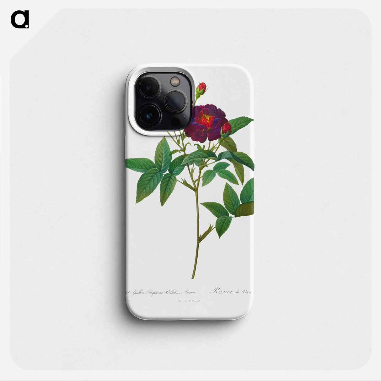 Rosa Gallica Purpurea Velutina Parva - Pierre Joseph Redouté Phone Case.