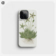 1-49_Robert-Jacob-Gordon_phone
