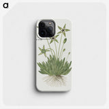1-49_Robert-Jacob-Gordon_phone