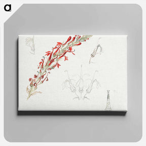 アートパネル-Cardinal Flower - サミュエル コールマン Canvas.