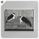 Two Maraboos
 - サミュエル ジェスルン Canvas.