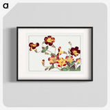 1-49_Seiyo-Soka-Zufu_blk