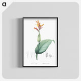 1-49_The-Lilies_blk-crop