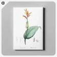1-49_The-Lilies_canvas