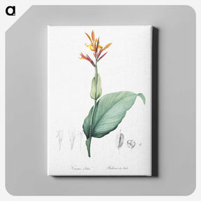 1-49_The-Lilies_canvas