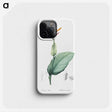 1-49_The-Lilies_phone