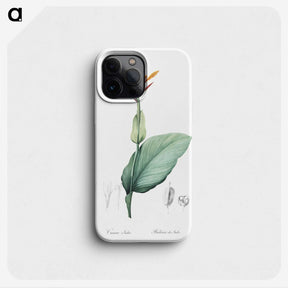 1-49_The-Lilies_phone