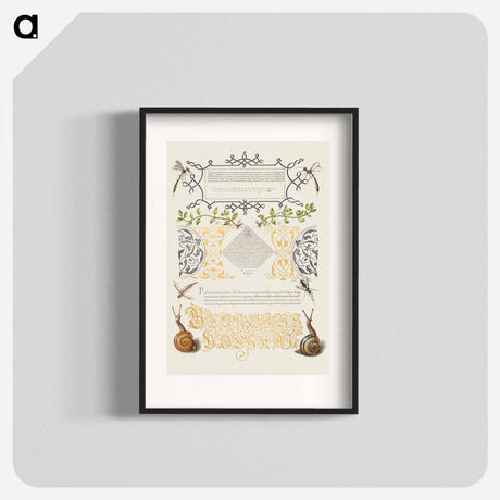 アートポスター-Insects, Basil Thyme, and Land Snails from Mira Calligraphiae Monumenta
 - 書道のお手本 Poster.