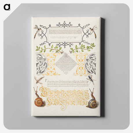 アートパネル-Insects, Basil Thyme, and Land Snails from Mira Calligraphiae Monumenta
 - 書道のお手本 Canvas.