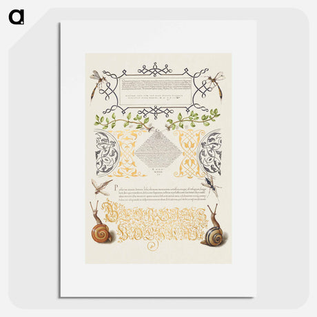 アートポスター-Insects, Basil Thyme, and Land Snails from Mira Calligraphiae Monumenta
 - 書道のお手本 Poster.