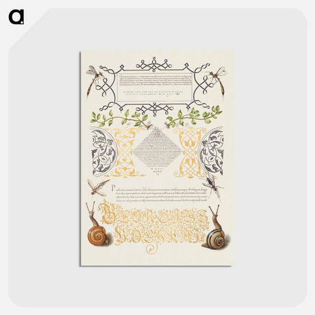 アートポストカード-Insects, Basil Thyme, and Land Snails from Mira Calligraphiae Monumenta
 - 書道のお手本 Postcard.