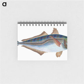 1-49_The-Natural-History-of-British-Fishes_memo