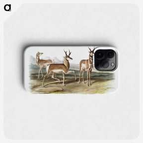 1-49_The-Viviparous-Quadrupeds_phone